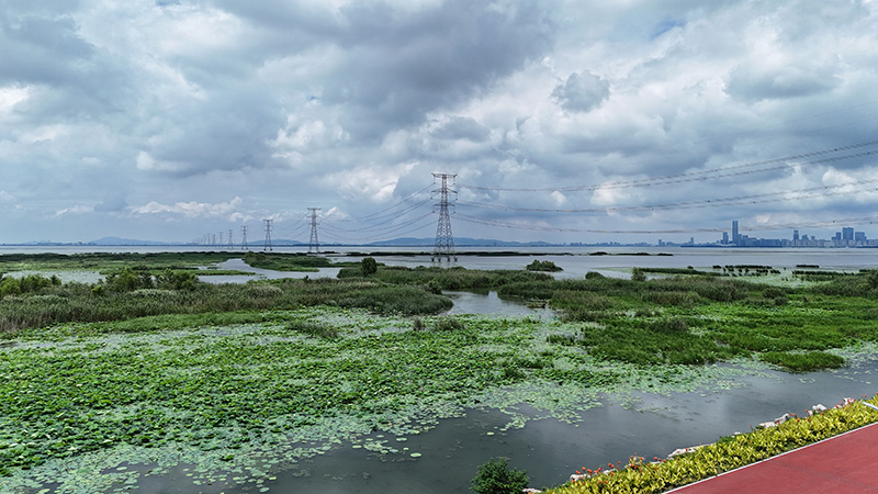 Transmission and Substation Facilities